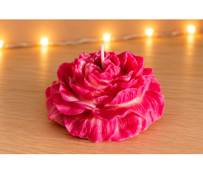 Pivoine Rose