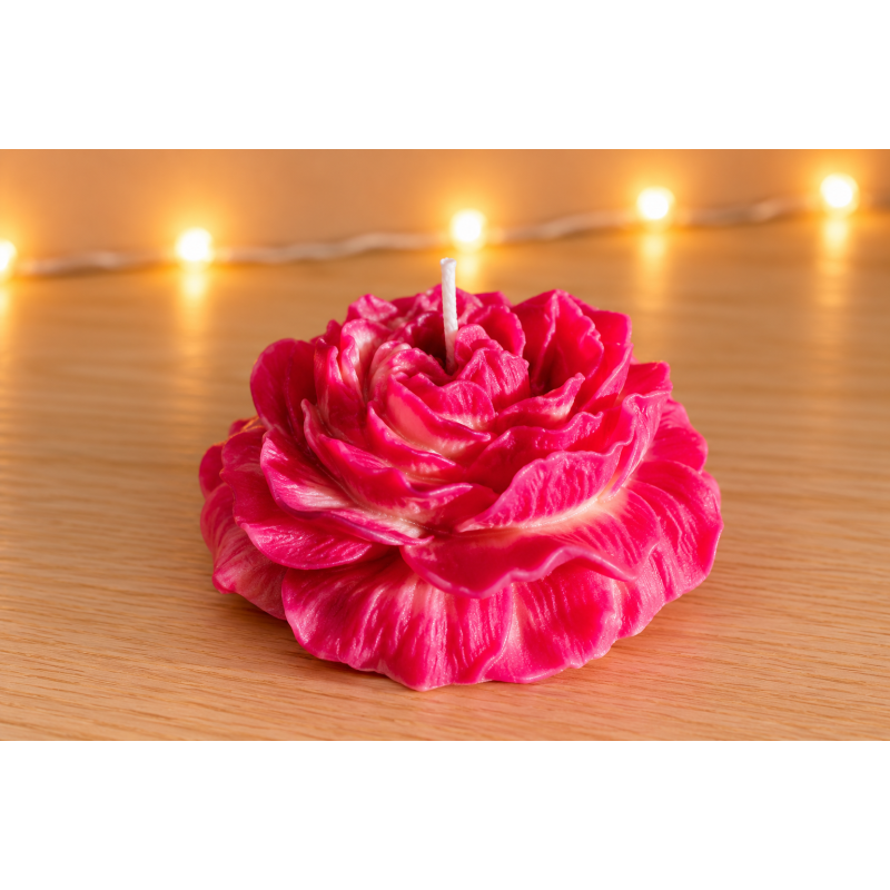 Pivoine Rose