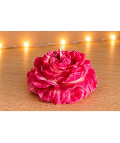 Pivoine Rose