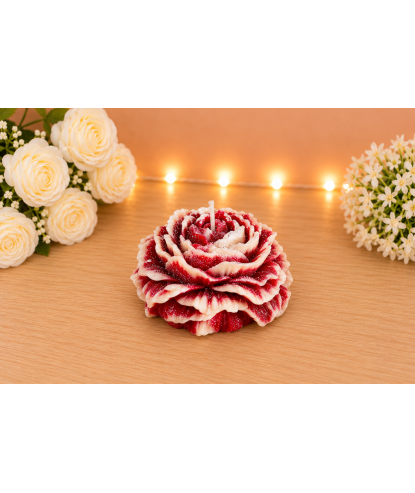 Pivoine rouge